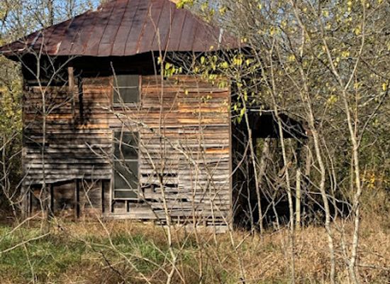 arkansas/timberlands/landmark/valentine-williams-house