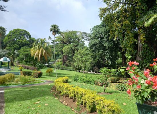 saint-vincent-and-the-grenadines/saint-david/landmark/botanical-gardens