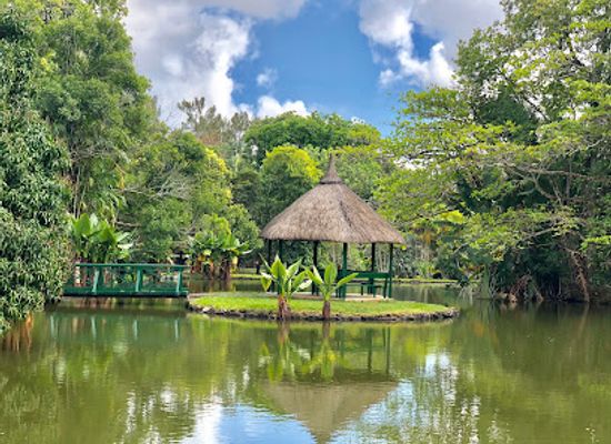mauritius/pamplemousses/landmark/sir-seewoosagur-ramgoolam-botanical-garden