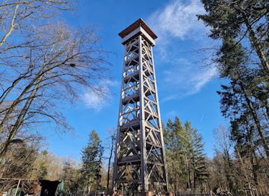 germany/hesse/landmark/goetheturm