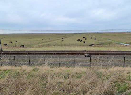 netherlands/ijsselmeer-polders/landmark/big-praam-bulge
