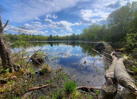 rhode-island/trustom-pond-national-wildlife-refuge/landmark/audubon-maxwell-mays-wildlife-refuge