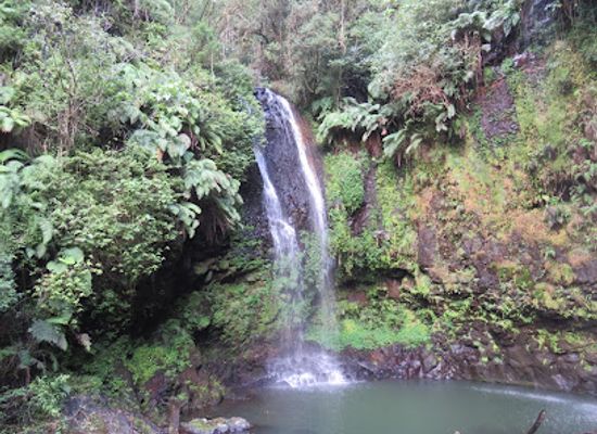 madagascar/diego-suarez/landmark/montagne-d-ambre-nationalpark