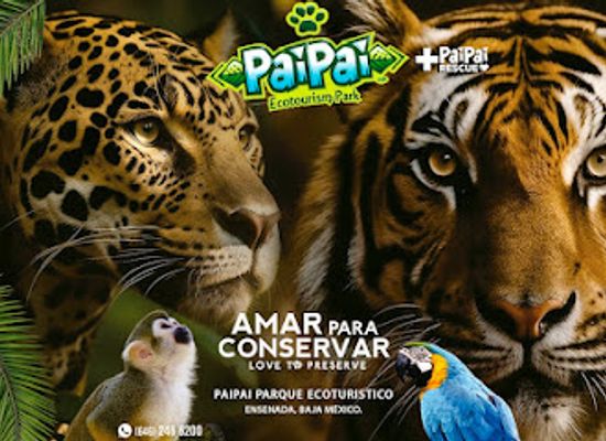 mexico/baja-california-peninsula/landmark/pai-pai-ecotourism-park