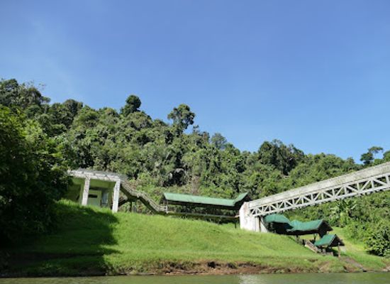 brunei/mukim-bangar/landmark/ulu-temburong-national-park