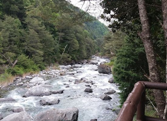 chile/nuble-region/landmark/inicio-del-camino-a-reserva-nacional-los-huemules-del-niblinto