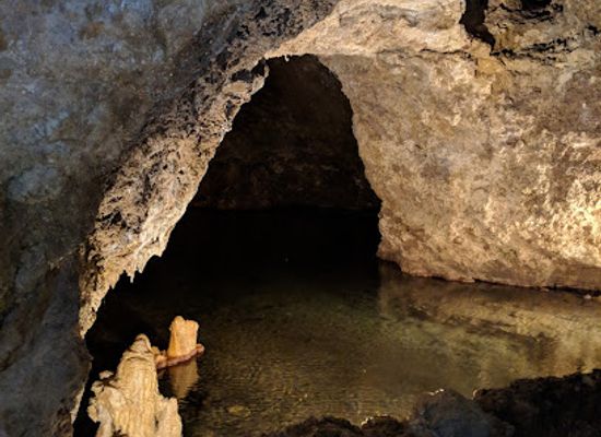 barbados/animal-flower-cave/landmark/harrison-s-cave-eco-adventure-park