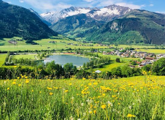 austria/hohe-tauern-national-park/landmark/schmetterlingslehrweg