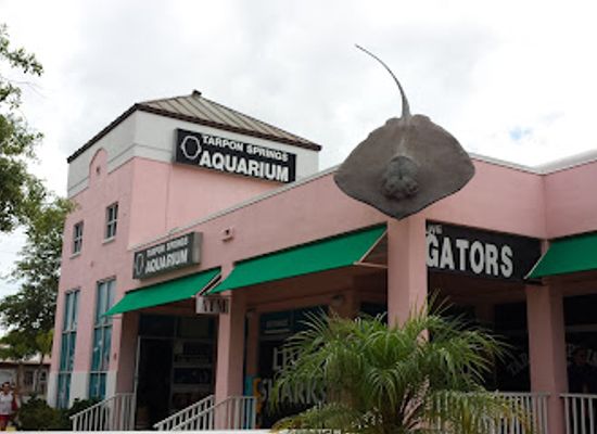 florida/sun-coast/landmark/tarpon-springs-aquarium-and-animal-sanctuary