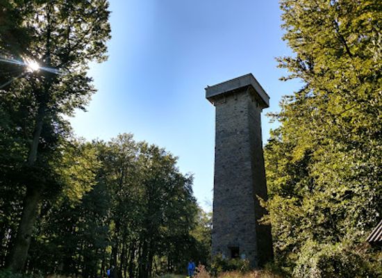 austria/vienna-woods/landmark/hubertuswarte
