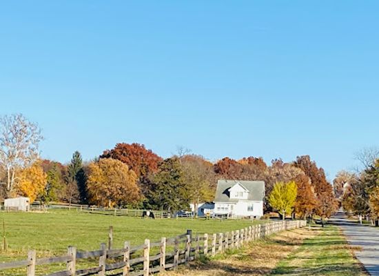illinois/central-illinois/landmark/nauvoo-historic-sites