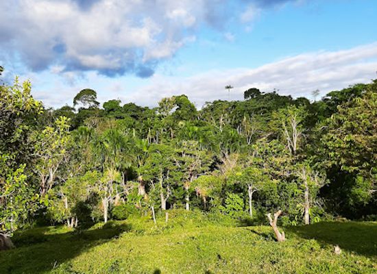 colombia/amazon/landmark/leticia-amazonas-jungle-tours-operator