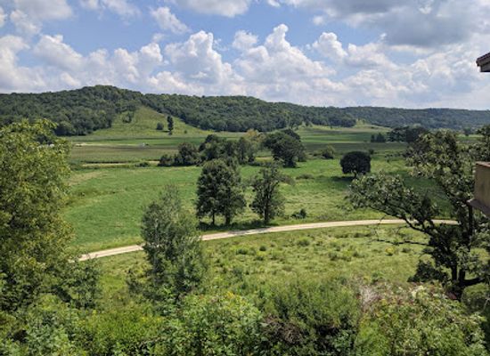 wisconsin/eastern-ridges-and-lowlands/landmark/taliesin-preservation-frank-lloyd-wright-visitor-center