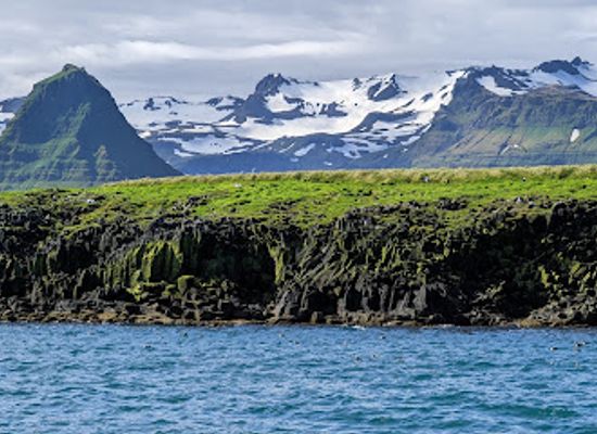 iceland/grundarfjorour-area/landmark/laki-tours-puffin-tour