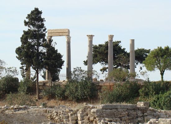 lebanon/jbeil/landmark/columns-from-temple-of-astarte-venus