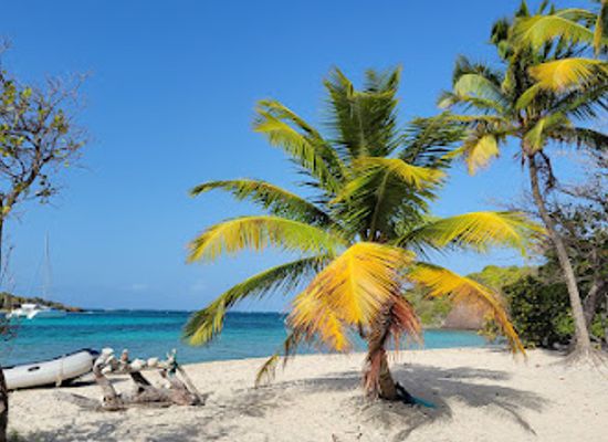 saint-vincent-and-the-grenadines/tobago-cays-marine-park/landmark/petit-bateau