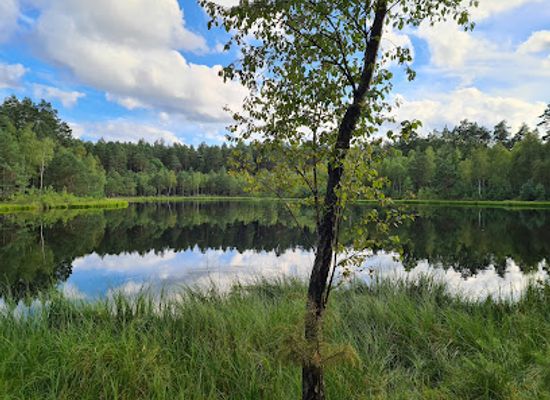 poland/masurian-lake-district/landmark/zakret