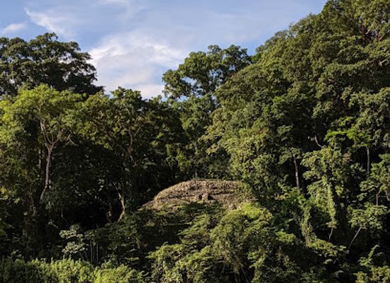mexico/lacandon-jungle/landmark/parque-nacional-sierra-del-lacandon