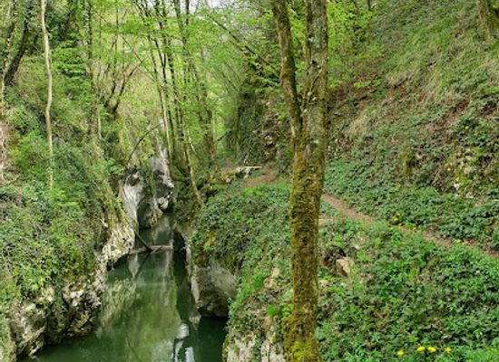 romania/cheile-nerei-national-park/landmark/cheile-carasului