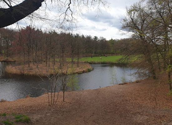 netherlands/gooi/landmark/landgoed-groeneveld-staatsbosbeheer