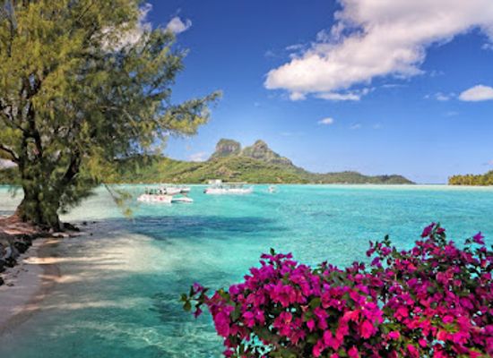 french-polynesia/bora-bora/landmark/bora-bora-moana-adventure-tours