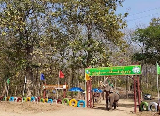 myanmar-burma/pyay/landmark/pyay-elephant-camp