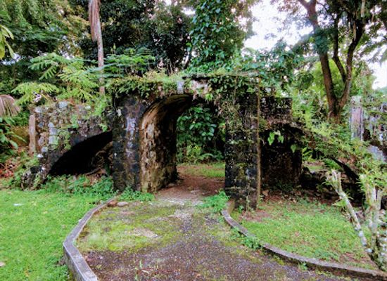 jamaica/yallahs-valley/landmark/bath-botanical-garden