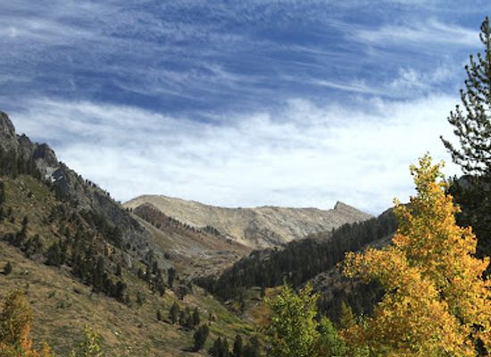 california/sequoia-national-park/landmark/mineral-king-valley