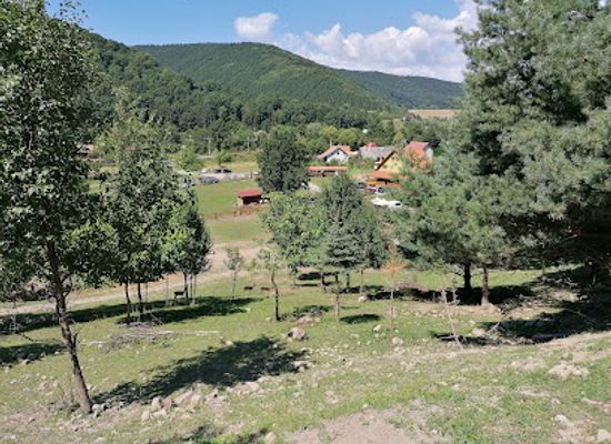 romania/harghita/landmark/babusgato-allatsimogato-es-allatpark
