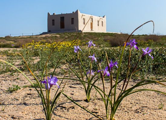 kuwait/failaka-island/landmark/sheikh-ahmad-al-jaber-residence-failaka-island