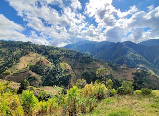 dominican-republic/central-mountain-range/landmark/valle-nuevo-national-park