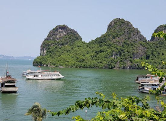 vietnam/ha-long/tuan-chau-island/landmark/tuan-chau-harbor-tuan-chau-port