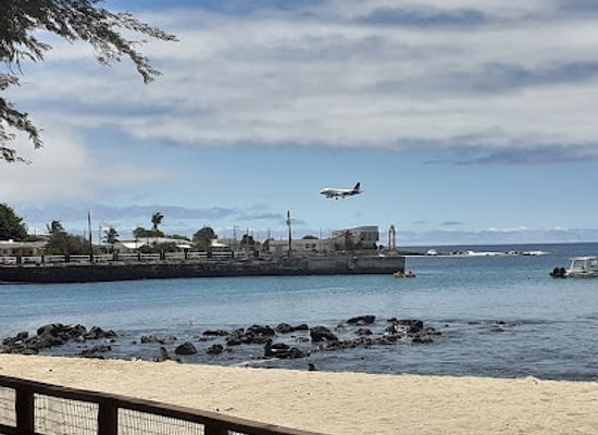 ecuador/puerto-baquerizo-moreno/landmark/sea-garden