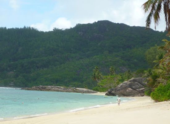 seychelles/ile-souris/landmark/jardin-du-roi-spice-garden