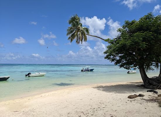 french-polynesia/gambier-islands/landmark/tiki-village