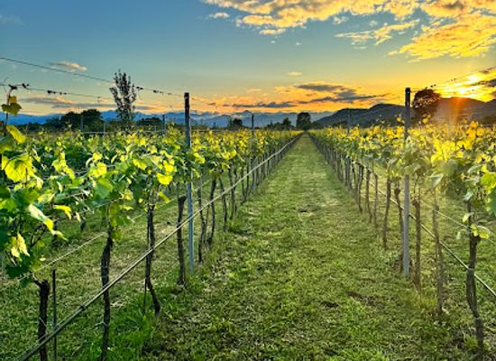 montenegro/moraca/landmark/monte-grande-winery