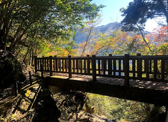 japan/shikoku/landmark/kurozo-marshland