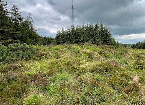 ireland/county-longford/landmark/cairn-b-prehistoric-monument