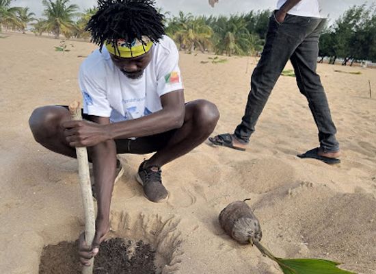 benin/cotonou/aidjedo/landmark/arbre-n-da-koffi