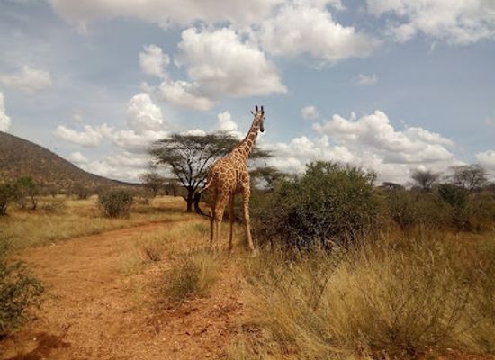 kenya/chyulu-hills/landmark/samburu-national-reserve