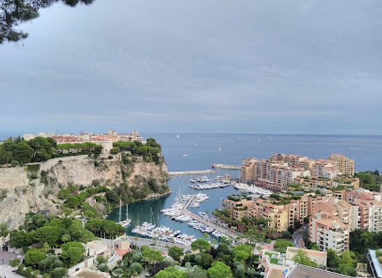 monaco/les-moneghetti/landmark/private-cars-collection-of-hsh-prince-of-monaco