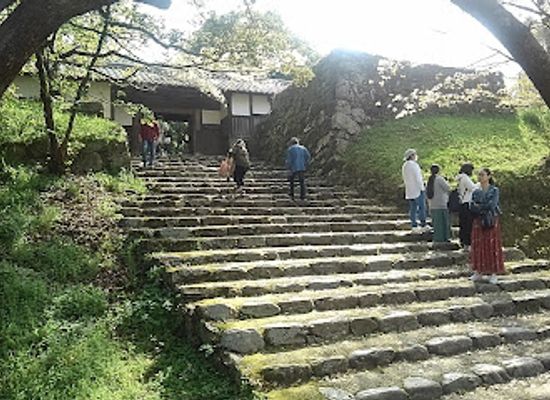 japan/chikugo/landmark/sugi-no-baba