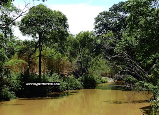 malawi/lilongwe/area-12/landmark/lilongwe-nature-sanctuary