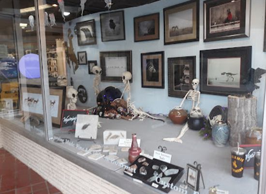 wyoming/laramie/landmark/artisans-gallery