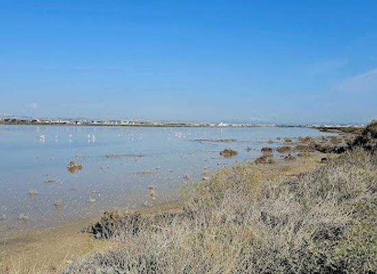 cyprus/larnaca-district/landmark/orfani-salt-lake