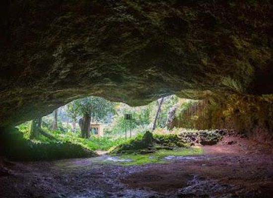 india/goa/landmark/rivona-buddhist-caves