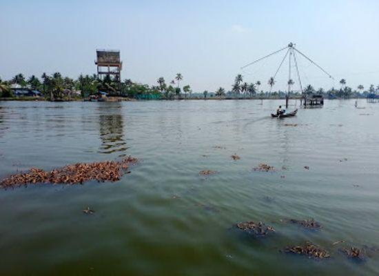 india/kerala-backwaters/landmark/kadamakudy-view-point