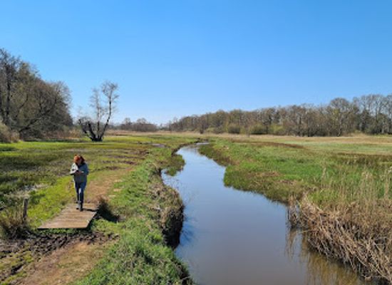 netherlands/drenthe-province/landmark/nationaal-beek-en-esdorpenlandschap-drentsche-aa