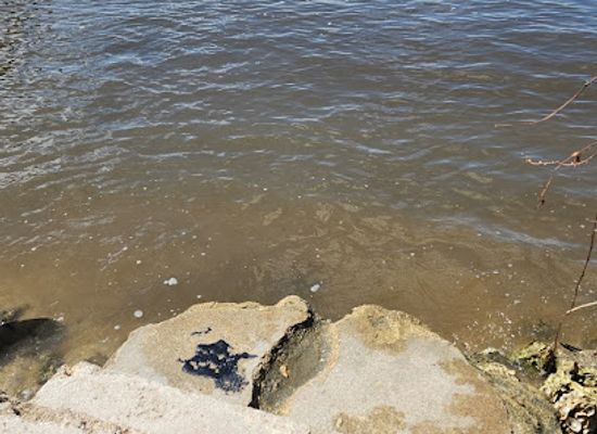 florida/greater-orlando/landmark/halifax-riverview-point
