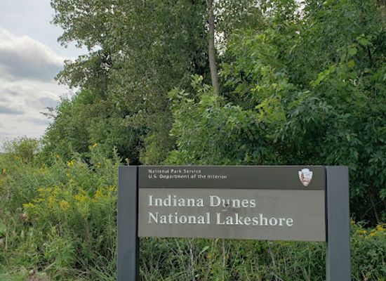 indiana/the-dunes/landmark/indiana-dunes-national-park-heron-rookery